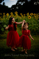 lsunflower-9046