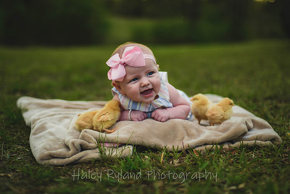 untitled-3789-2