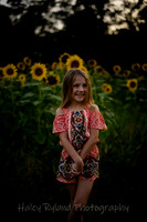 sunflower-9700