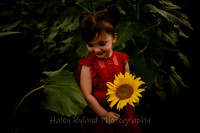 lsunflower-9135